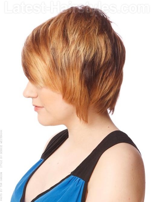 Soft Edge Auburn Highlighted Style