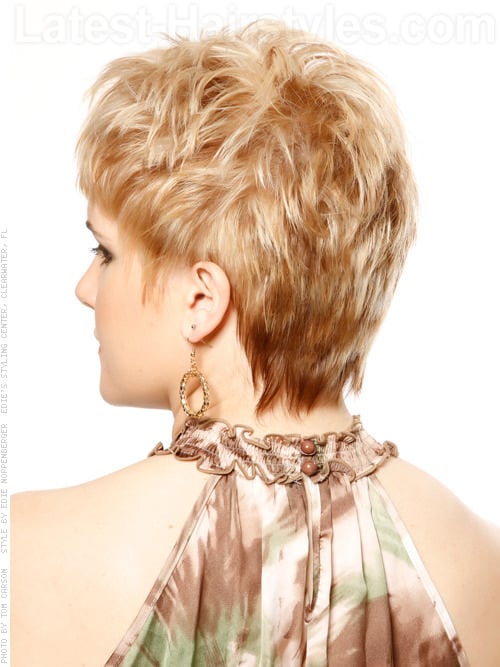 Short Haircut with Layers and Texture Back View
