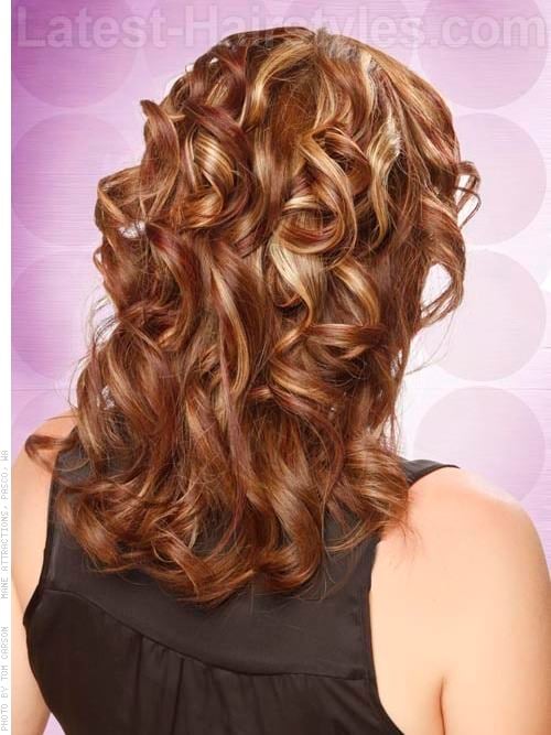 Bronzed Lights Hair Color Back View