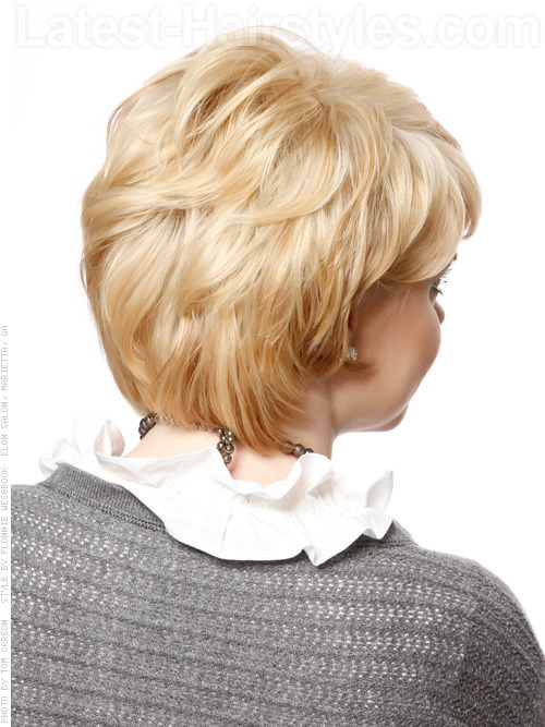 Short Hairstyle with Long Layers Back View