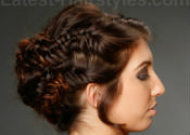 braided hairstyles for prom