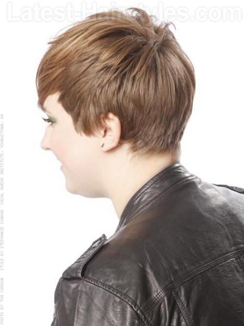 Fringed Crop Messy Easy Straight Short Hairstyle Back View