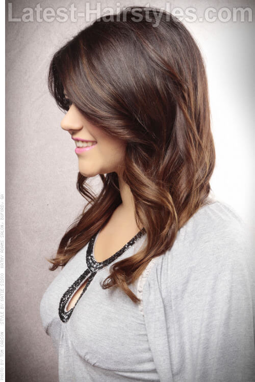 Brunette Ombre Hair Color Side View