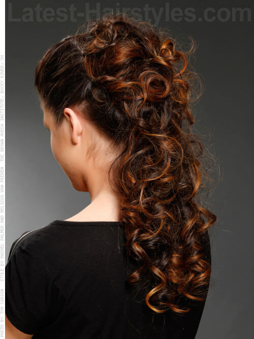 Curly Half Updo Hairstyle Back View