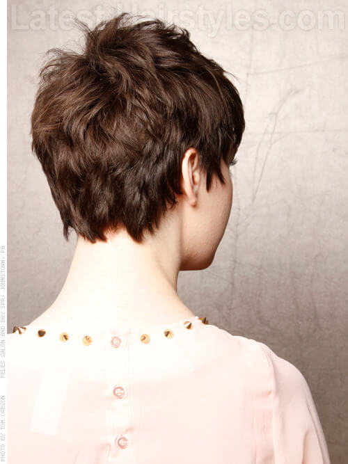Soft Pixie Short Hairstyles For Fine Hair Back View