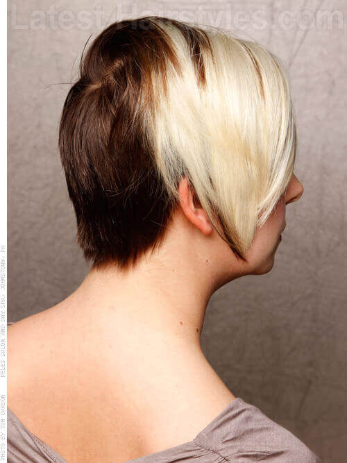 Short Color Blocked Hairstyle