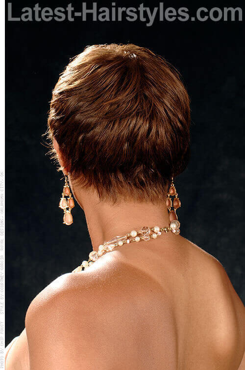 Brown on Brown Glamorous Short Cut Back View