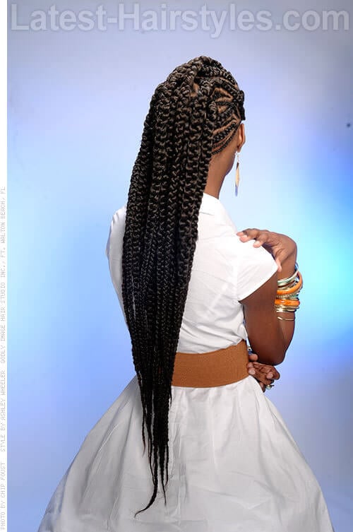 Poetic Braids Glamorous Look for Long Extensions Back View