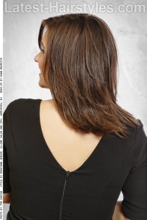 Brown Haircolor with Highlights around Face Back