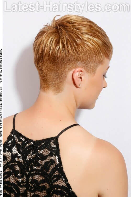 Short Pixie with Warm Blonde Tones Back