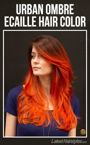 Urban Ombre Ecaille Hair Color