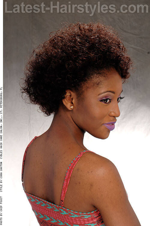 Quick Natural Hairstyles For Thick Hair
