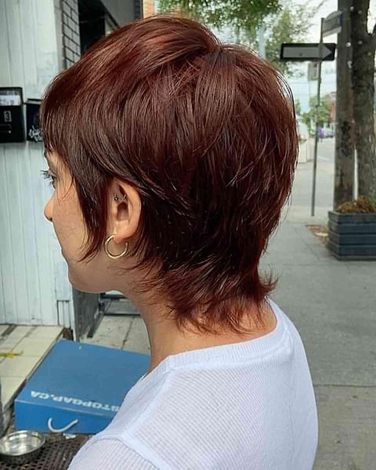 Auburn Red Baby Winged Pixie Shag with Flicked Ends