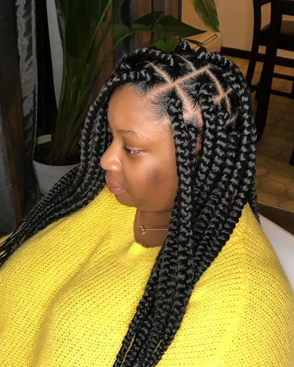 21 Ways to Slay Jumbo Box Braids Like a Queen