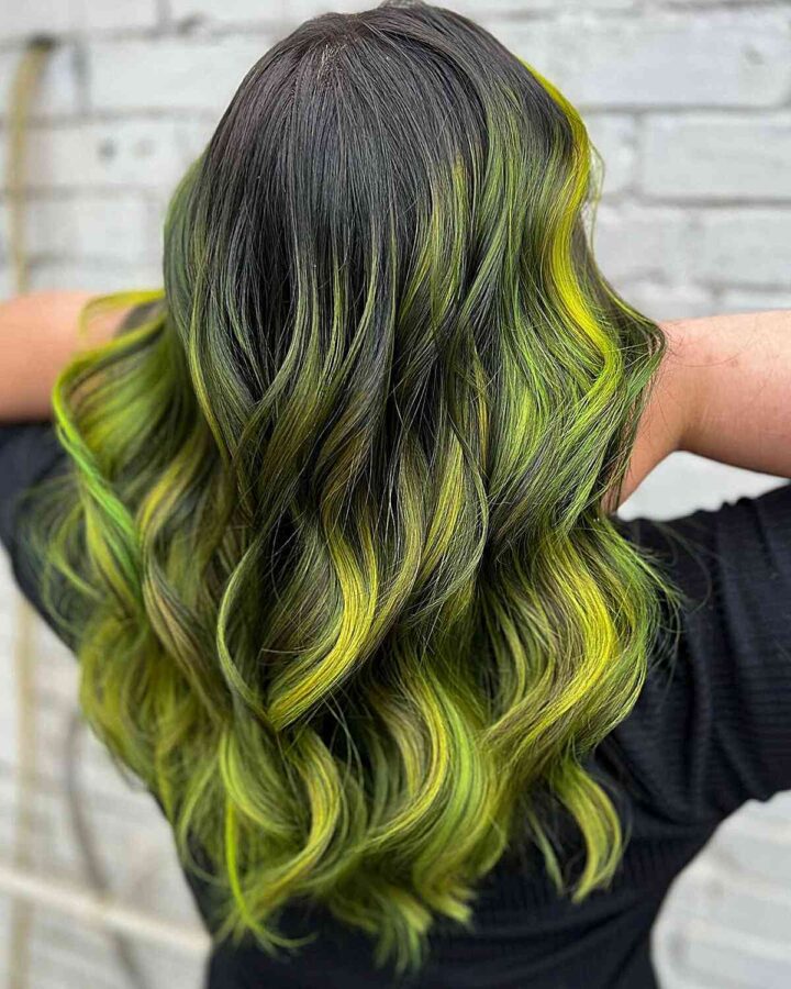 24 Balayage On Black Hair Ideas Trending In 2025