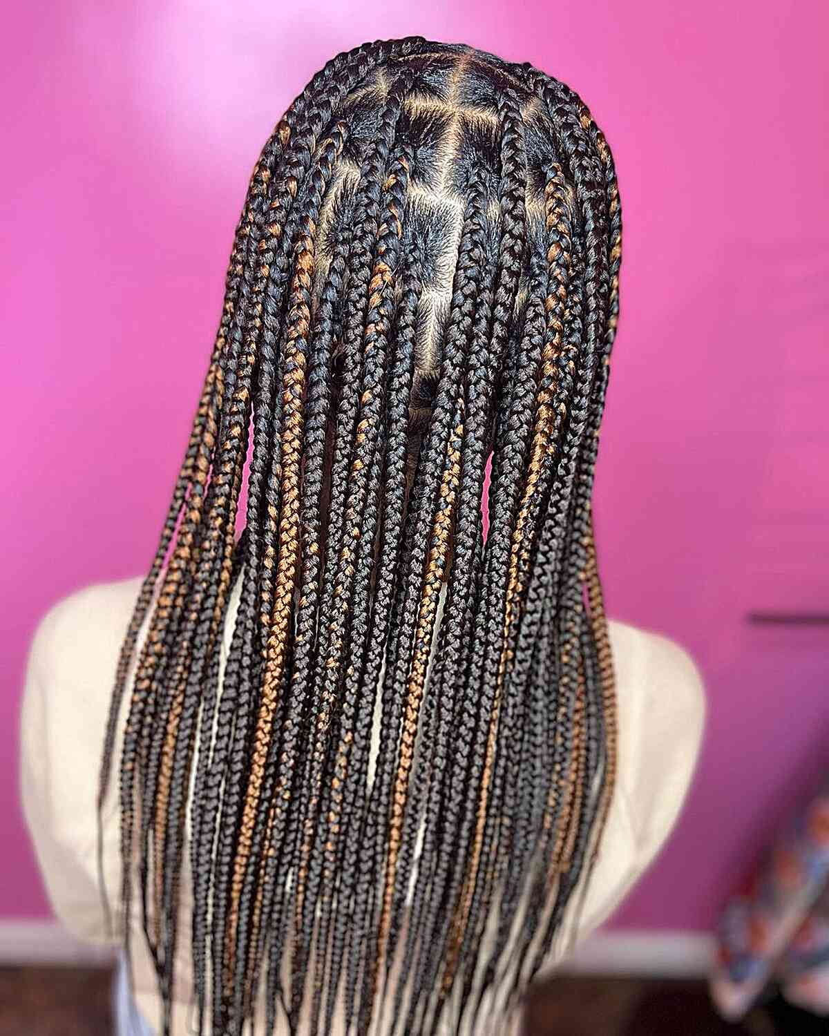 Black Box Knotless Braids with Hints of Honey Blonde for Long Hair