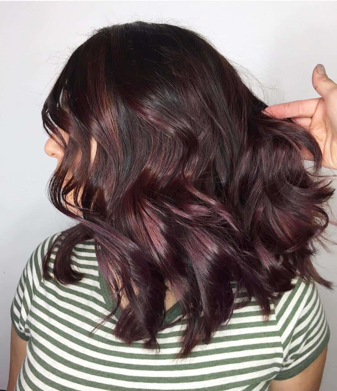 Black Cherry and Brown on Medium-Length Hair
