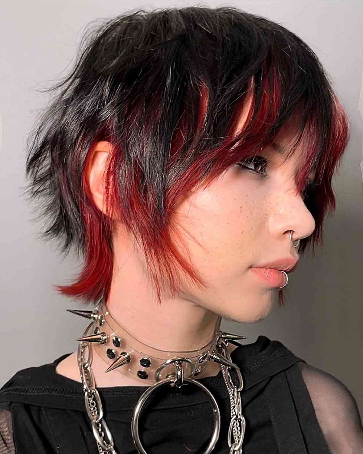 Black Shaggy Pixie Bob with Red Underlights
