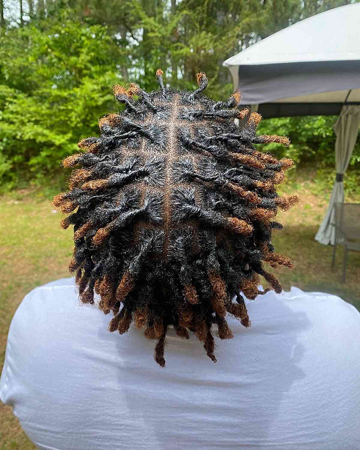 Black Twisted Freeform Dreads with Brown Tips for Men