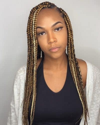 The Top 17 Hottest Fulani Braids to Copy Right Now