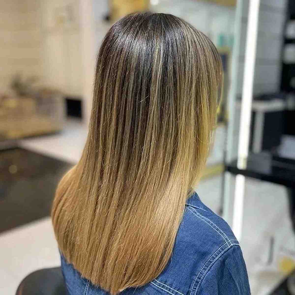 Brown hair with highlights and brighter tips