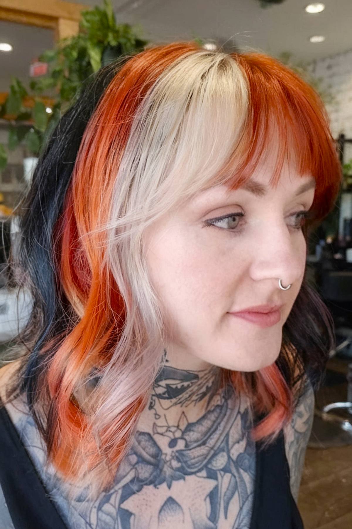 Calico streaks with red blonde and black