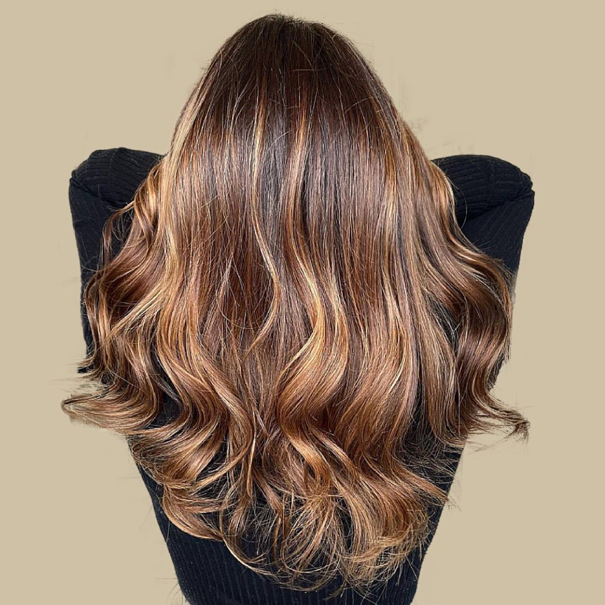 60 Looks with Caramel Highlights on Brown Hair for 2023 | Black hair with  highlights, Dark hair, Dark hair with highlights