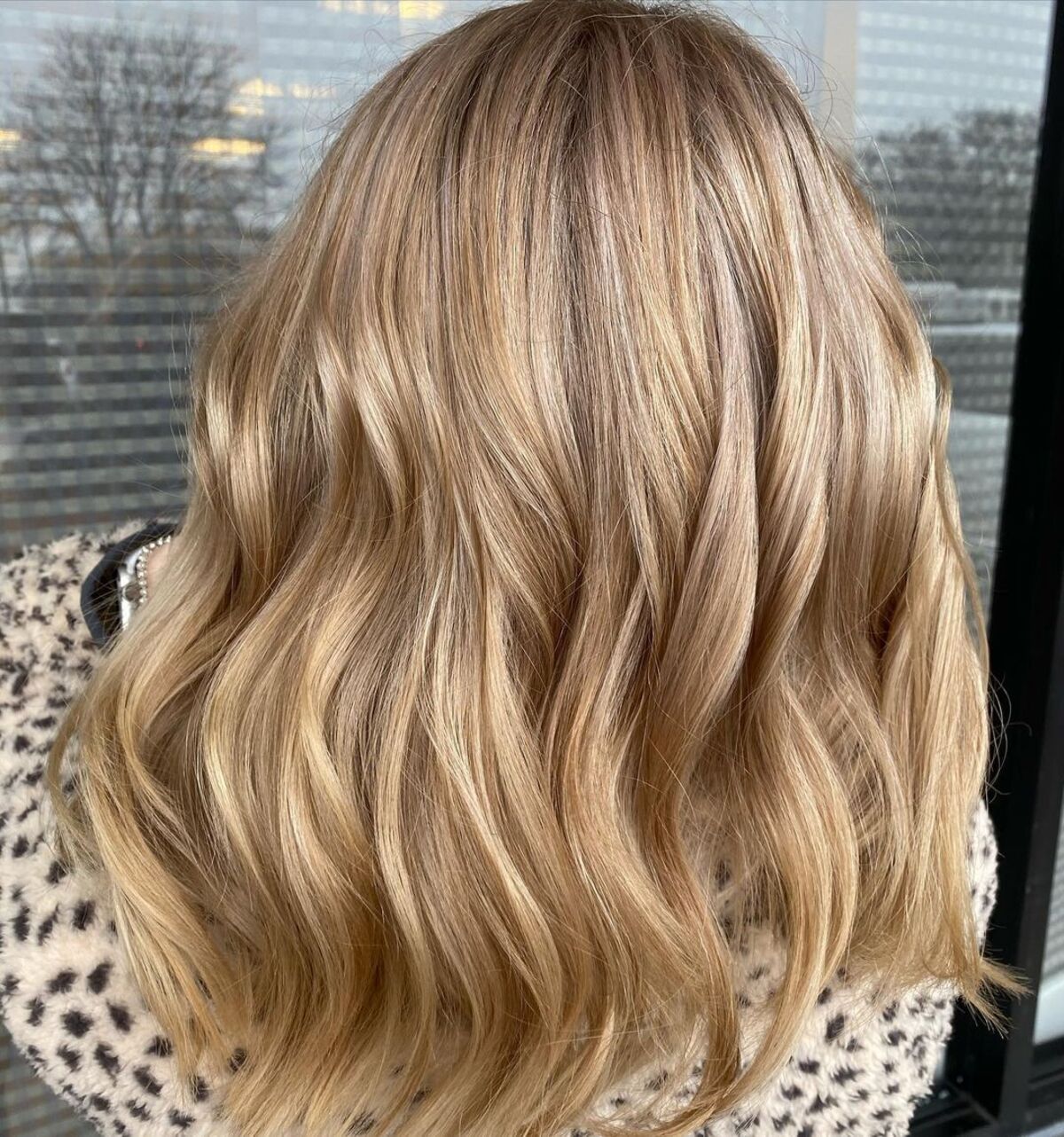 Champagne blonde on brown hair