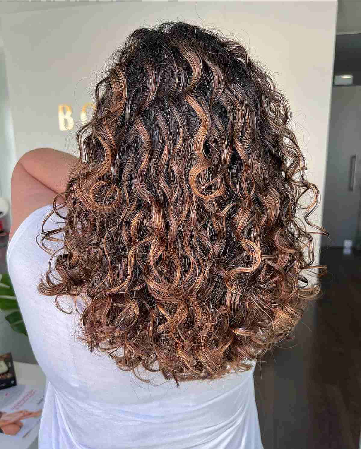Chestnut Brown Balayage on Voluminous Curly Hair