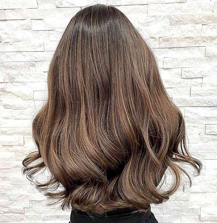 25 Gorgeous Mushroom Brown Balayage Hair Color Ideas   Chestnut Mushroom Brown Balayage Highlights With Root Melt 730x750 