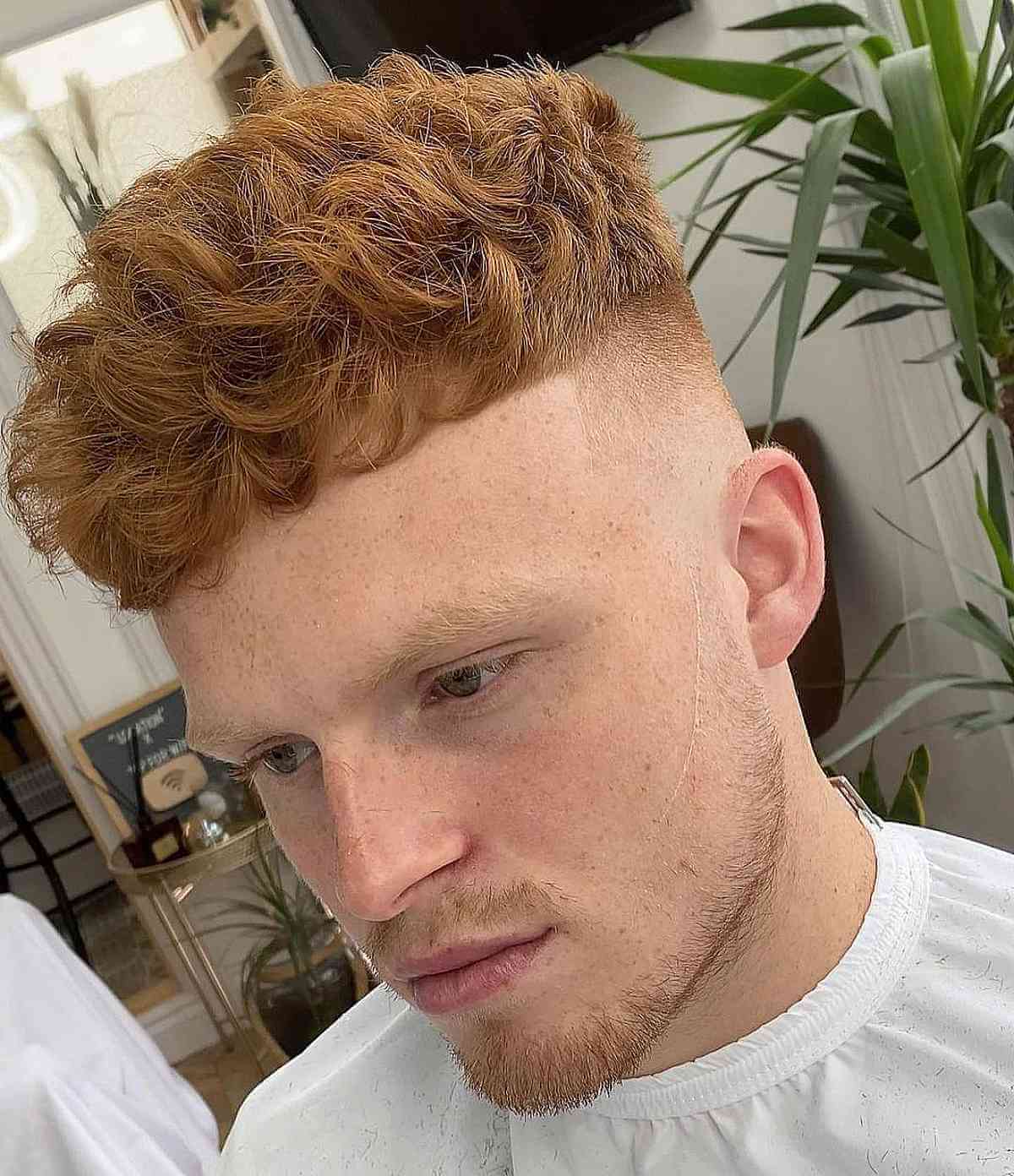 Curly crop and low fade for men