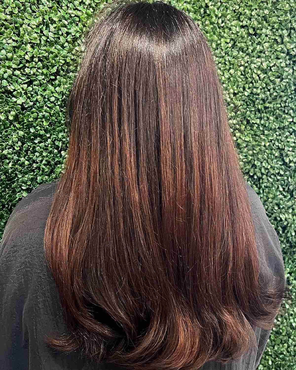 Dark Hair with Light Auburn Brown Highlights