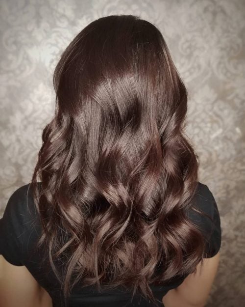 brown chestnut hair