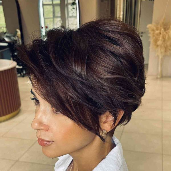 A Dark Chocolate Long Pixie Bob for Thick Hair