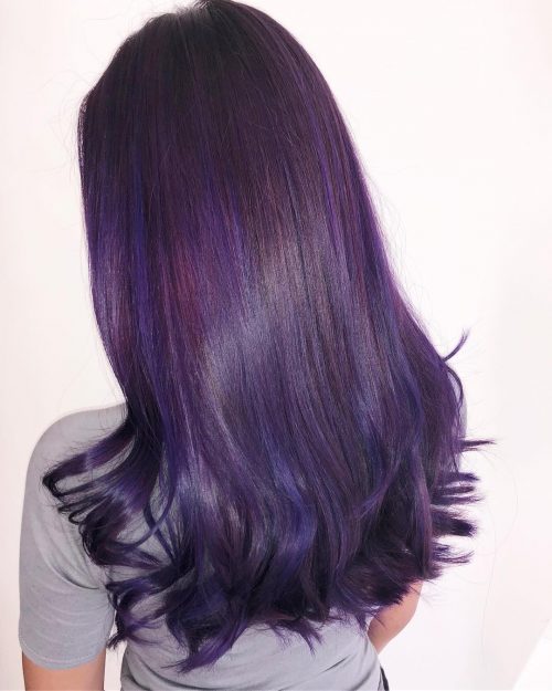 Dark Purple Hair with Highlights