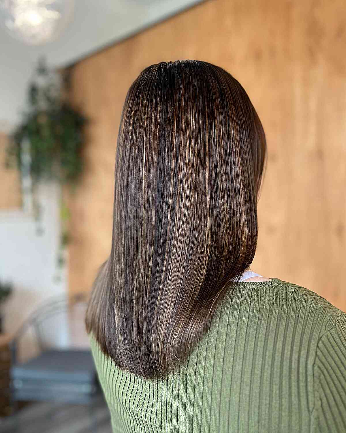Mid-Length Dark Straight Hair with Thin Highlights