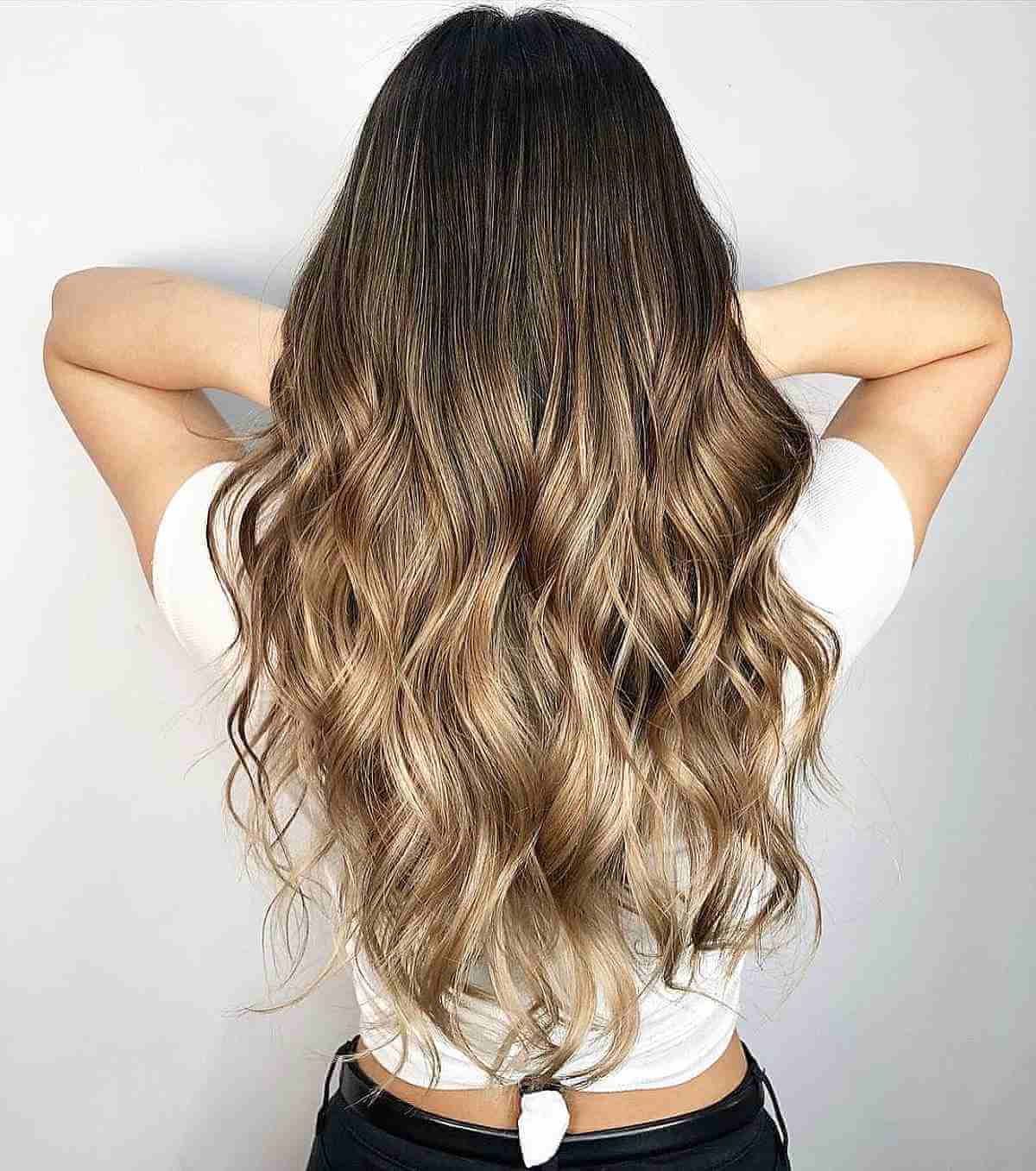 Gorgeous Dark to Light Brown Ombre