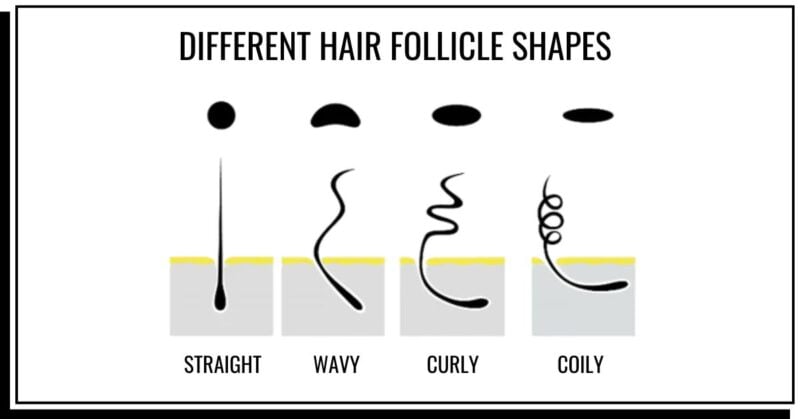 What is My Hair Type? How to Find Out, The Right Way