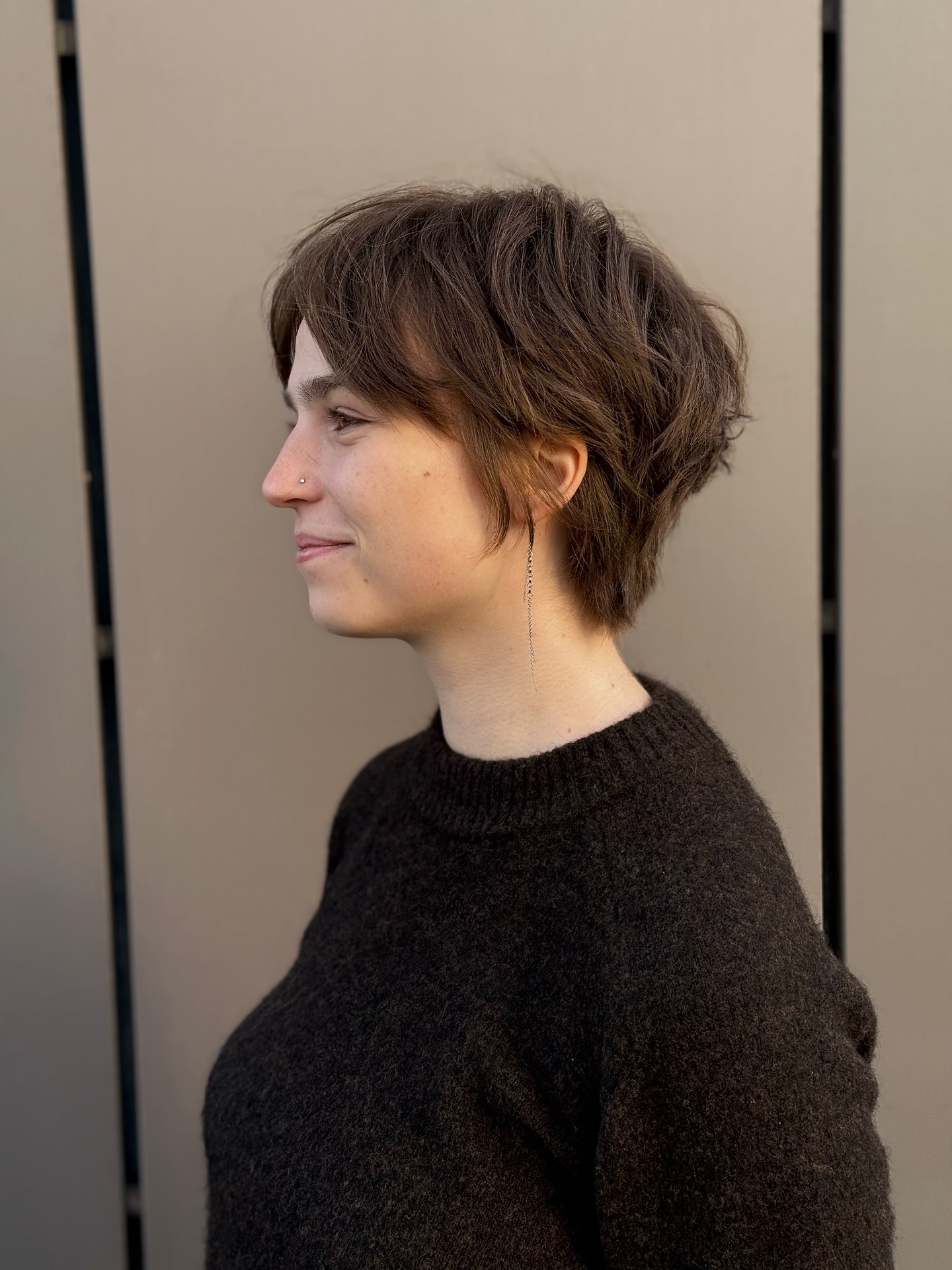 Modern Textured Pixie with Subtle Highlights