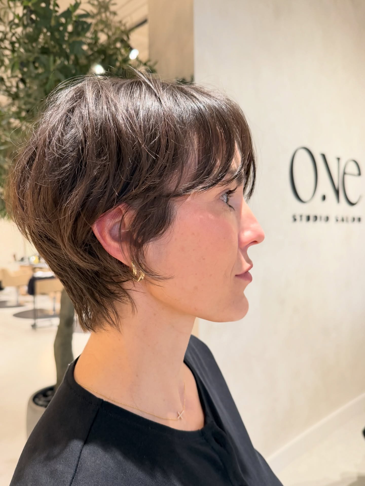 Polished Chestnut Pixie with Soft Contouring