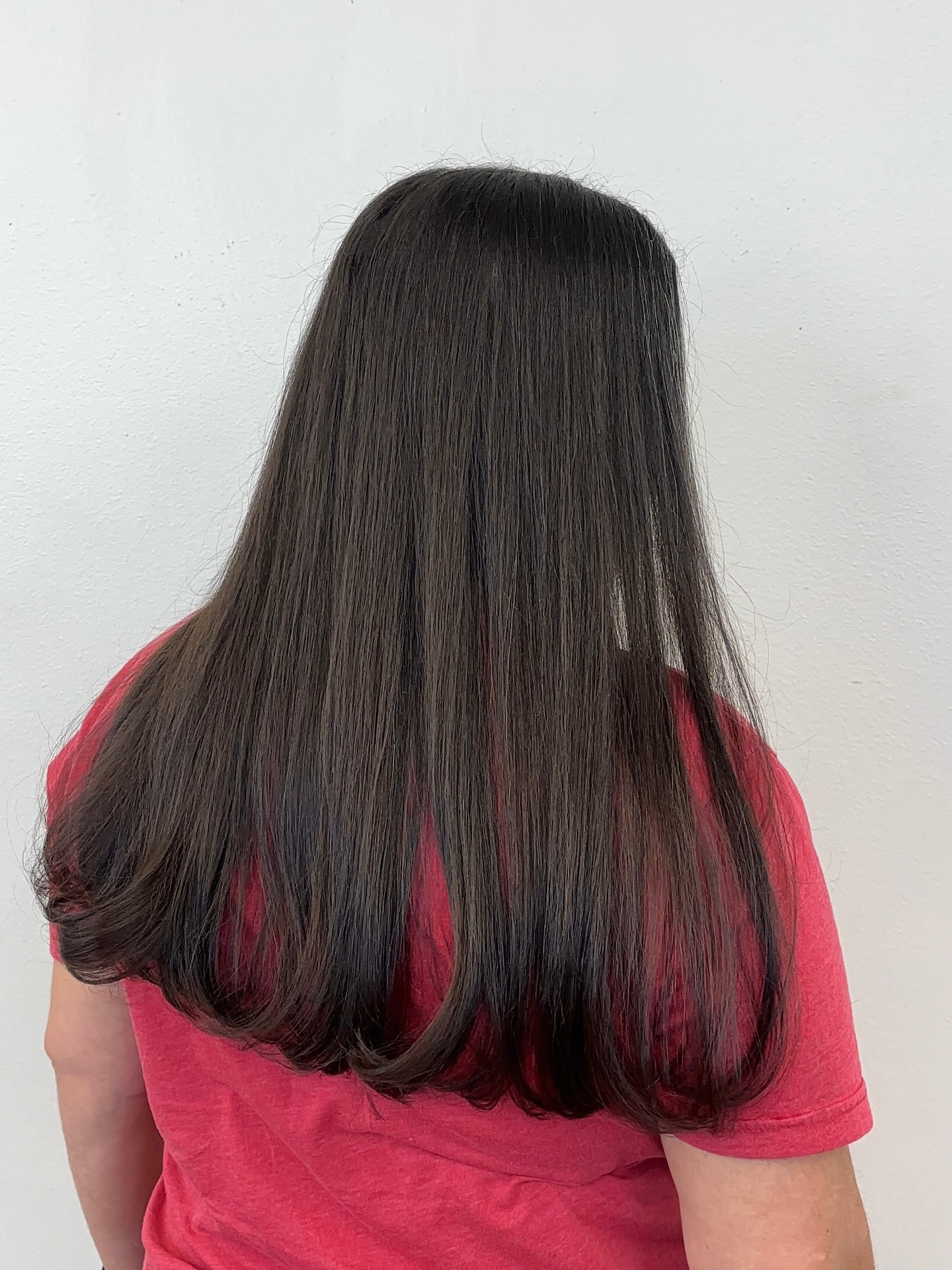 Classic Long Straight Hair with Subtle Layered Ends