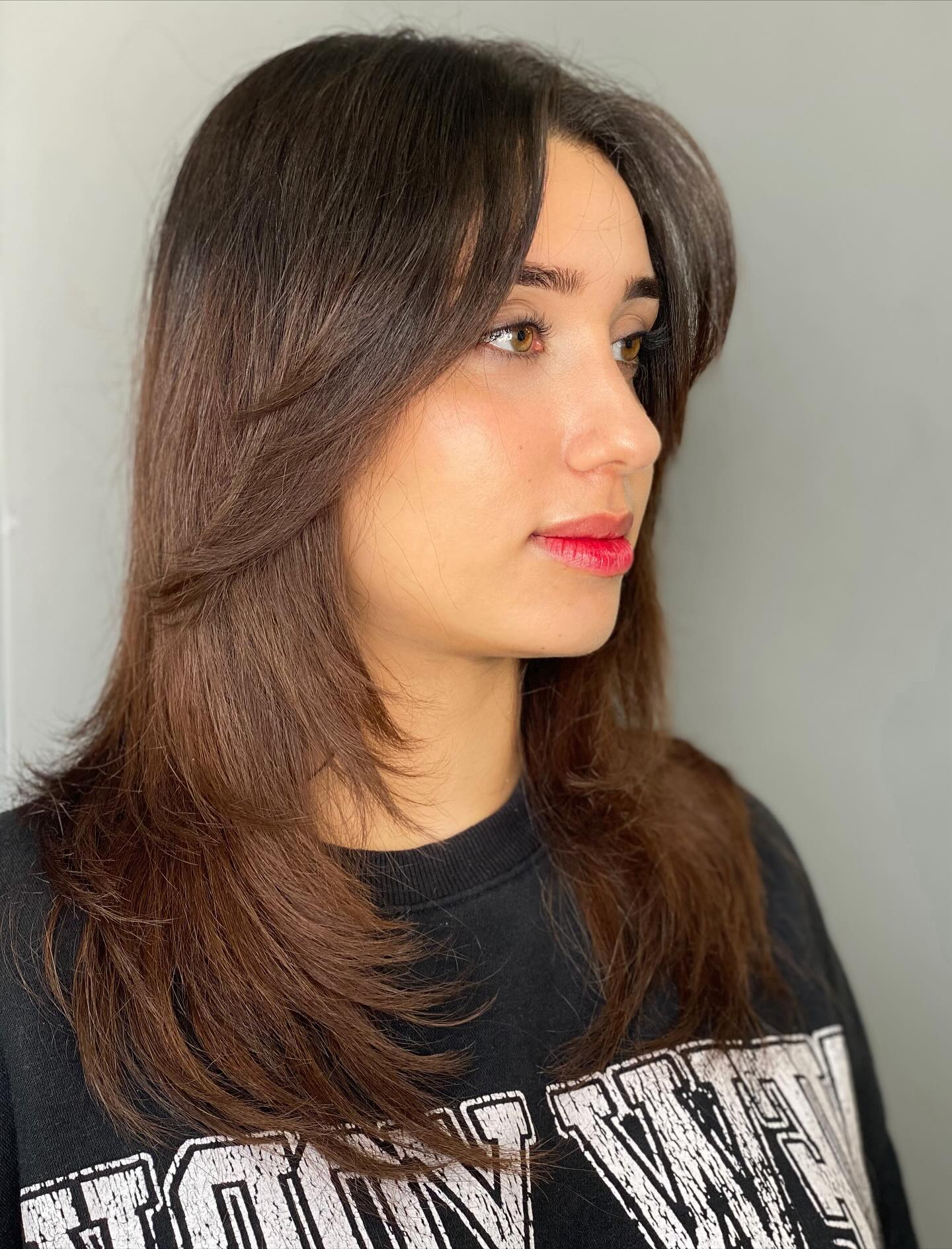 Chic Layered Cut with Soft Face-Framing Layers