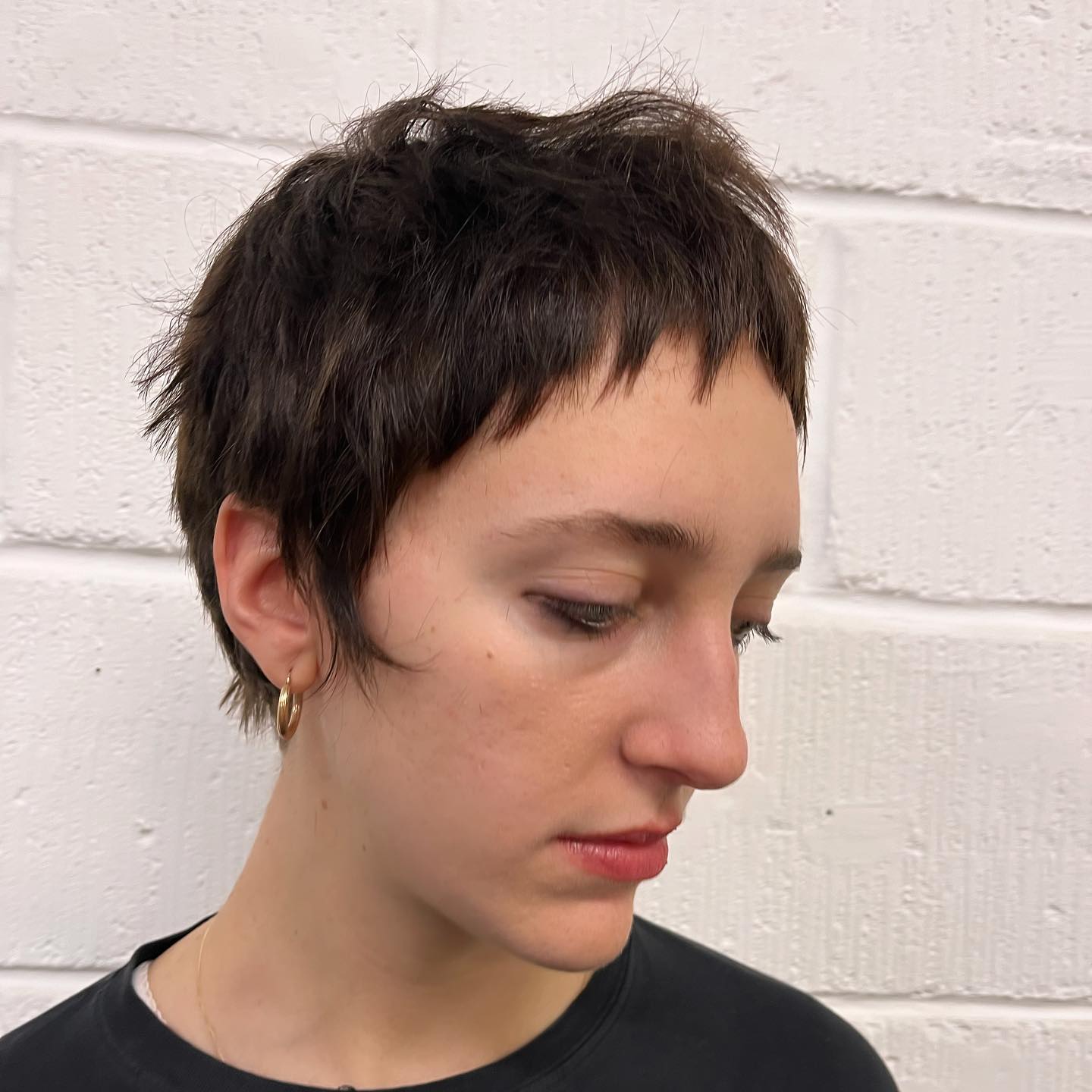 Edgy Deep Espresso Tousled Pixie