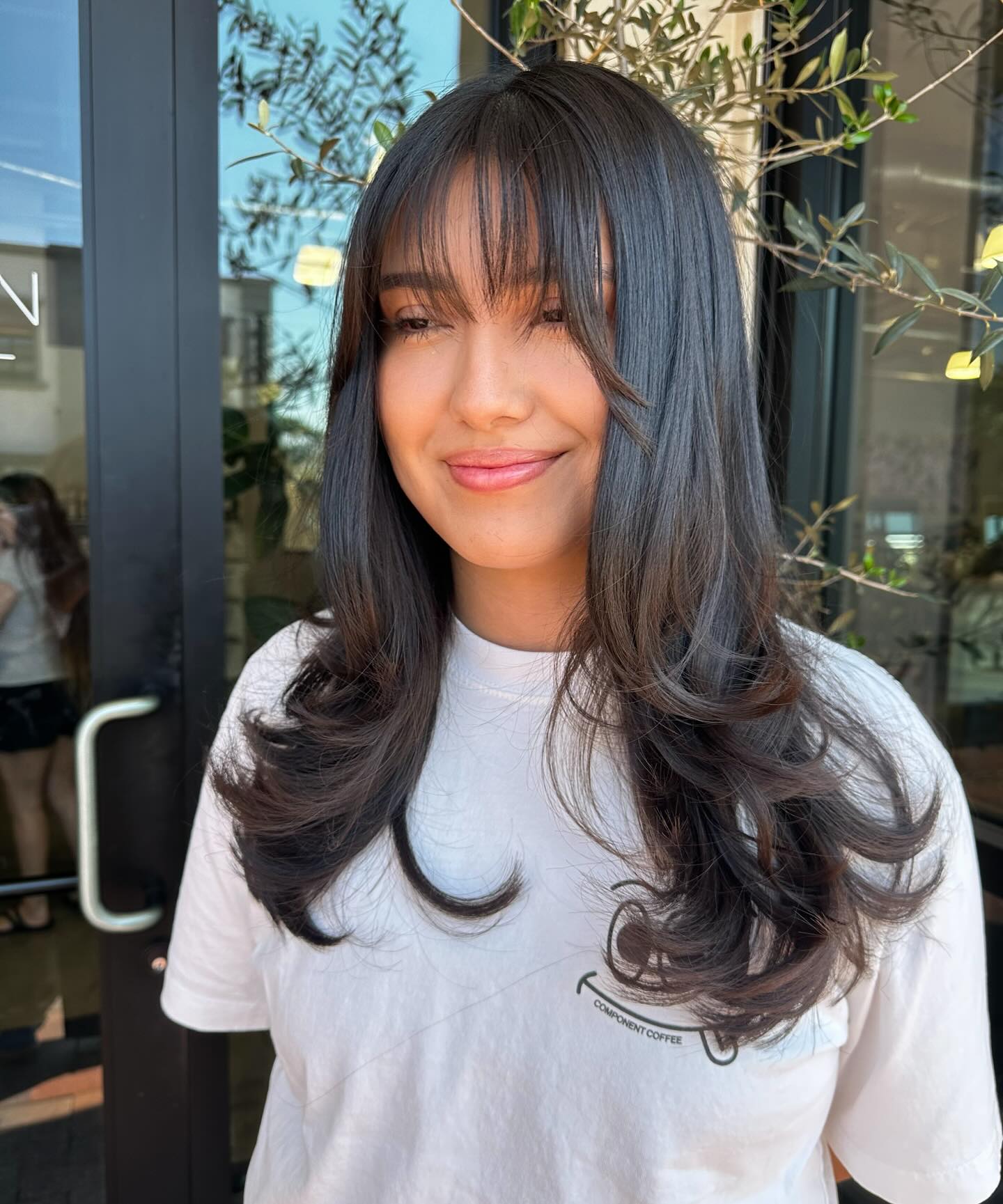 Sleek Midnight Flow with Wispy Fringe