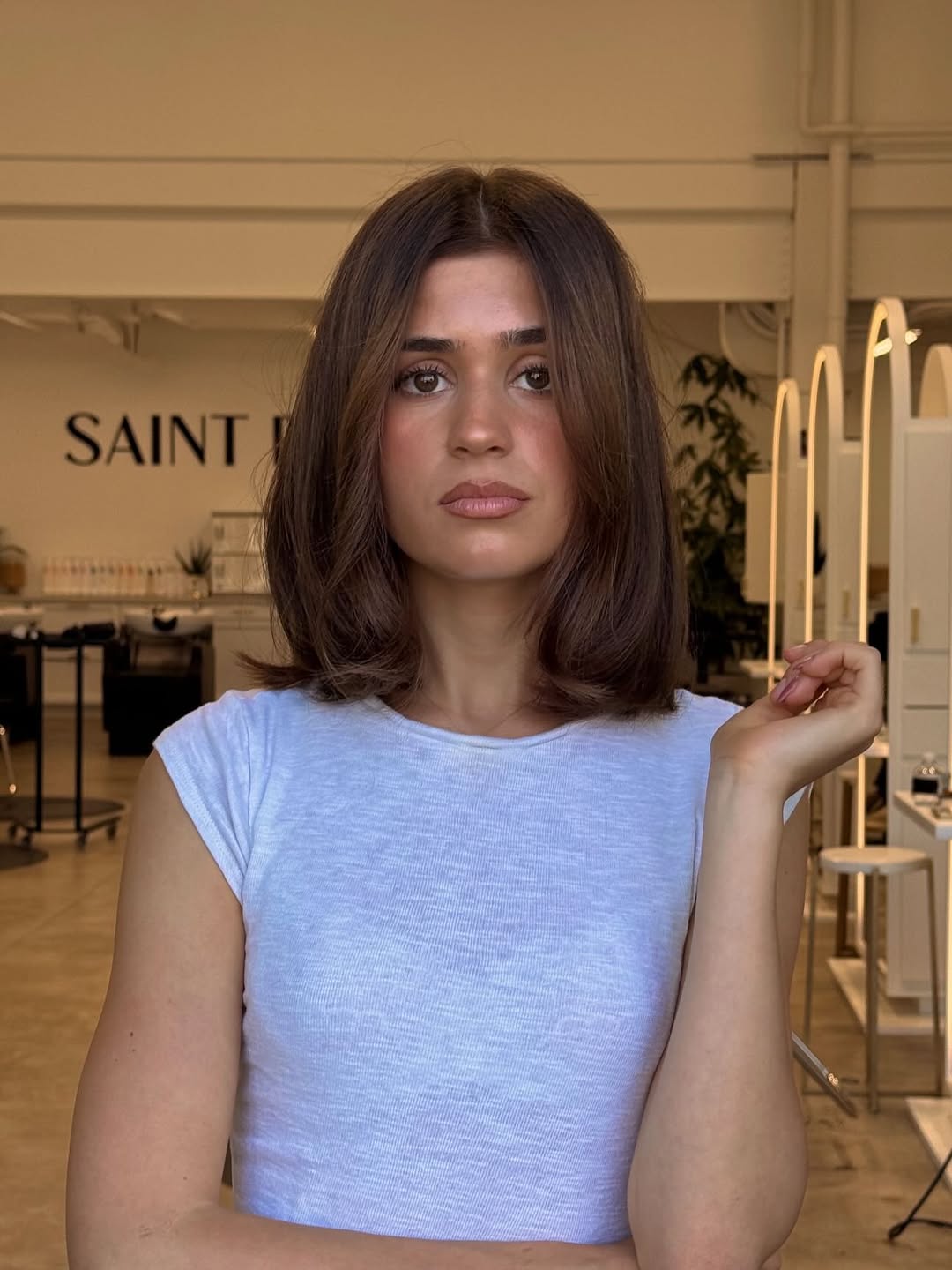 Polished Chestnut Shoulder-Length Bob with Textured Ends