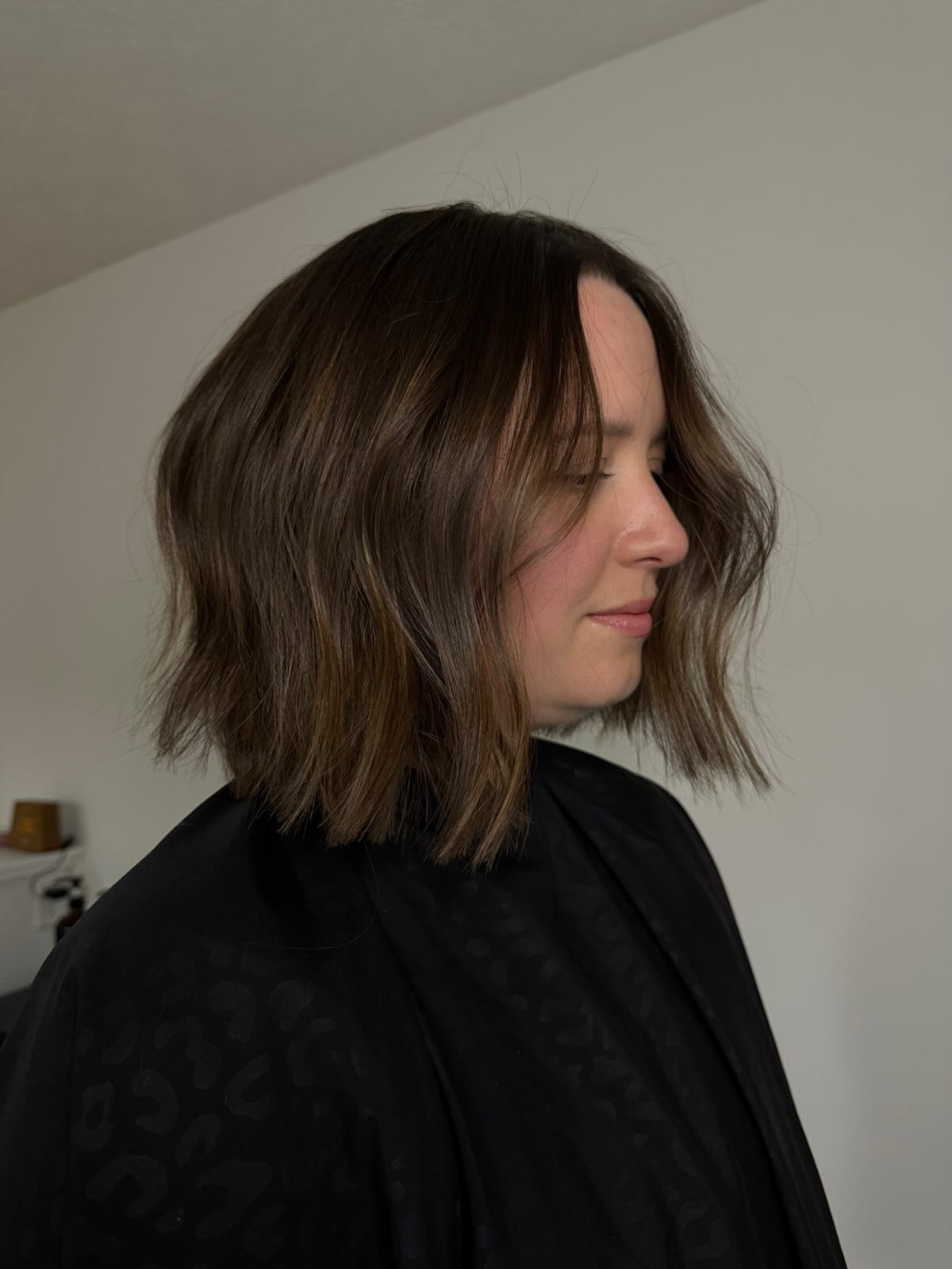 Sleek Mocha Bob with Subtle Layers