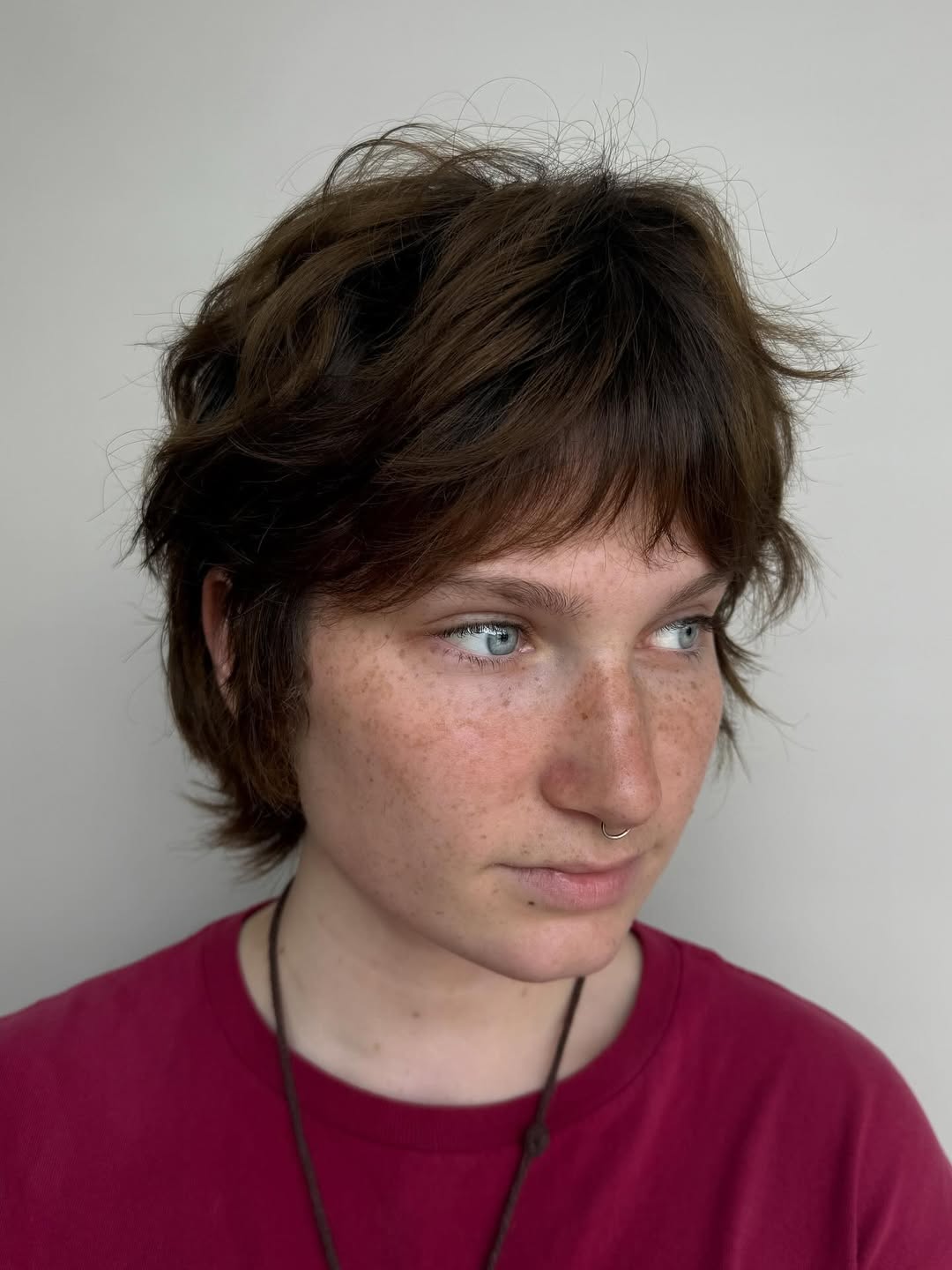 Tousled Chestnut Shag with Soft Fringe