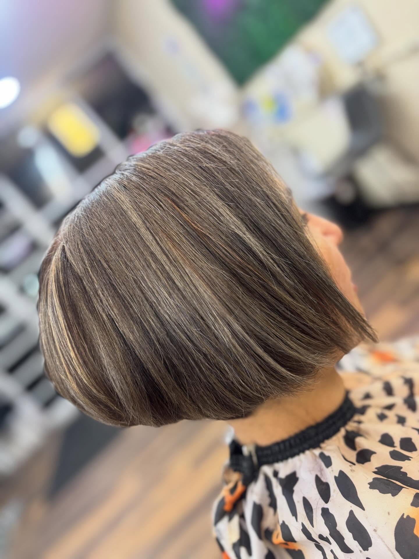 Glossy Chestnut Rounded Bob with Precision Cut