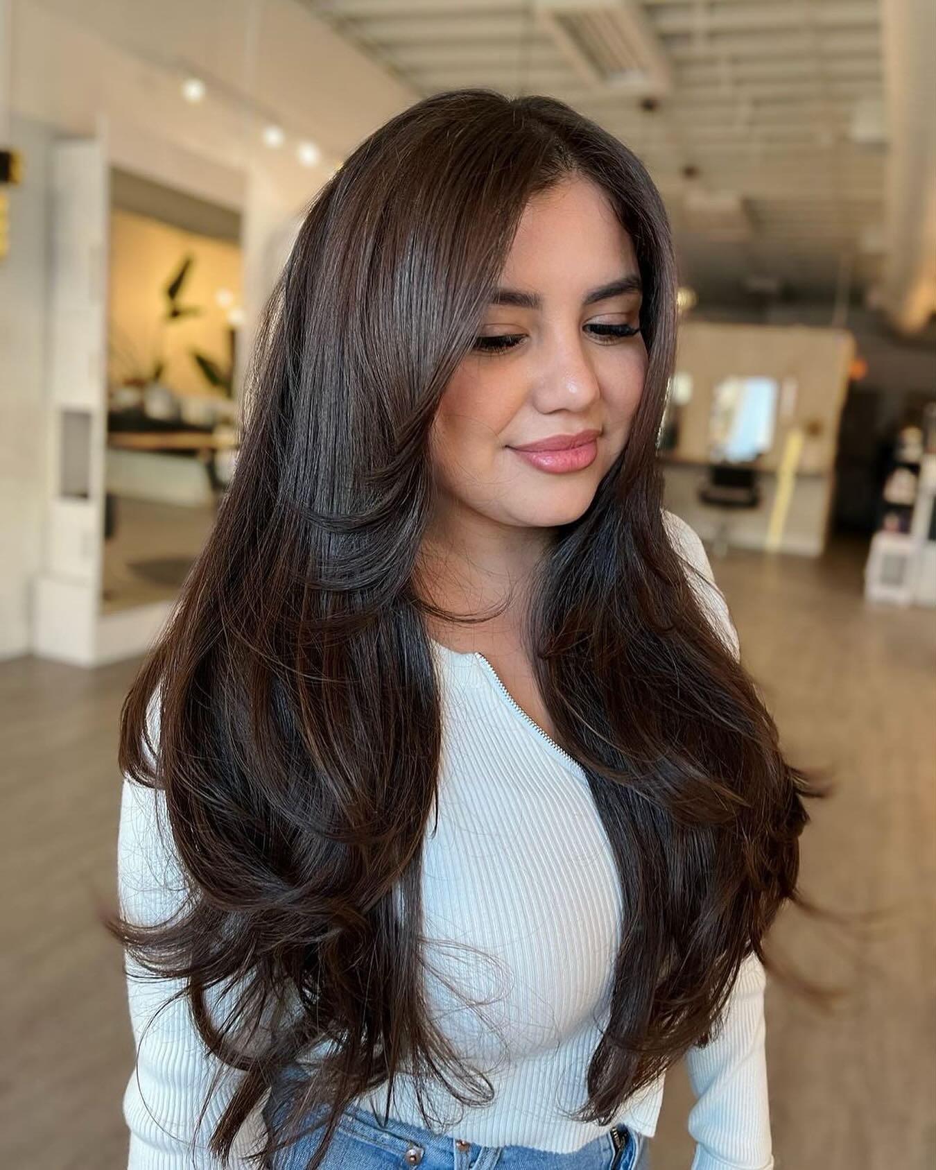 Luxurious Long Layered Cut with Subtle Volume