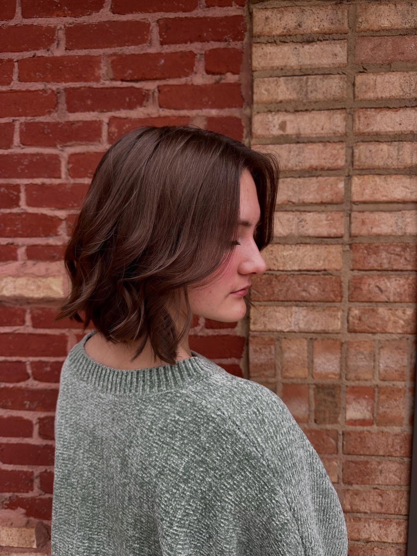 Soft Chocolate Chin-Length Bob with Face-Framing Curtain Layers